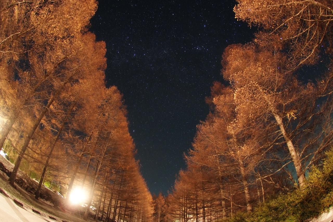 Yatsugatake Kogen Lodge Minamimaki Exterior foto